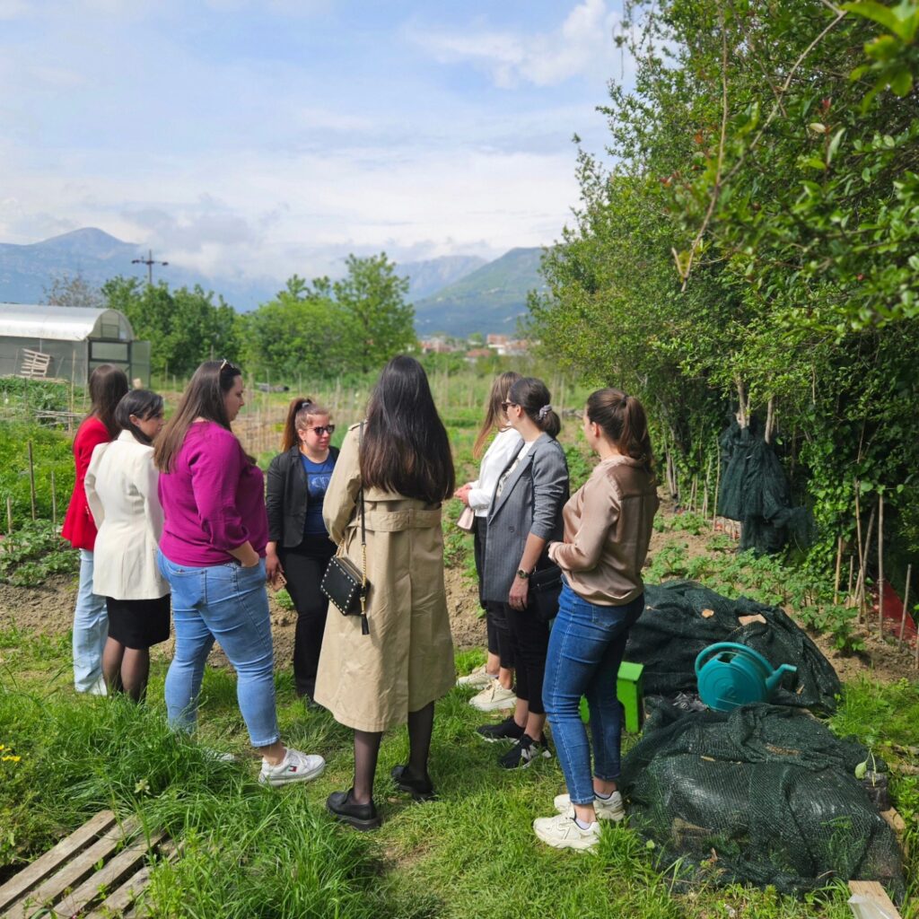 Montenegro: Educational Workshops on Vertical Gardening Successfully Completed in Montenegro